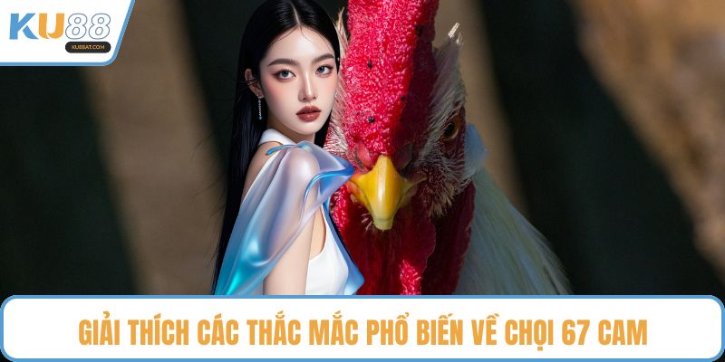 Giải thích các thắc mắc phổ biến về chọi 67 cam