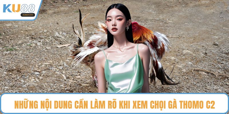 Những nội dung cần làm rõ khi xem chọi gà thomo c2